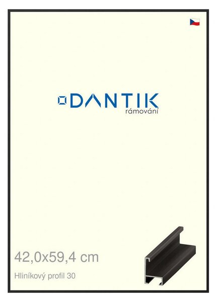 DANTIK rám na obraz 42x59,4 | ALU Černá matná (Plexi Čiré)