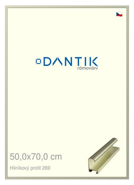 DANTIK rám na obraz 50x70 | ALU Šedá Pyrit broušená (Plexi Čiré)