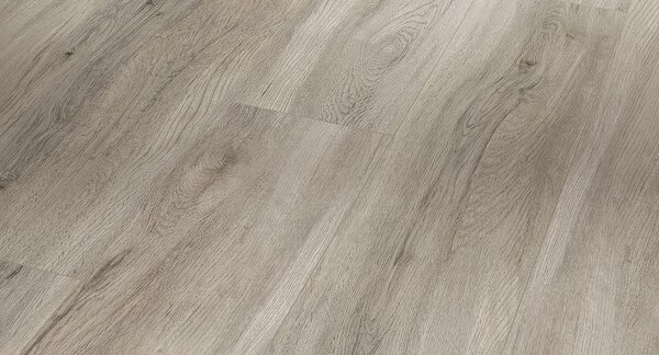 PARADOR Basic 5.3 SPC Dub pastelovo sivý kartáčovaná štruktúra 1743005 - 2.18 m2
