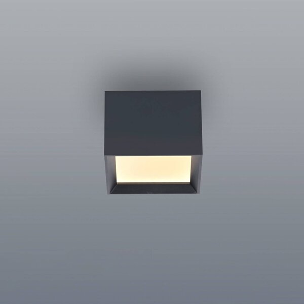 Stropné LED svetlo PURE Manhatten, mystic grey, 1-pl.,, Hliník / sivá / zinok, Chodba, Hliník, Moderný, Stropné svetlo
