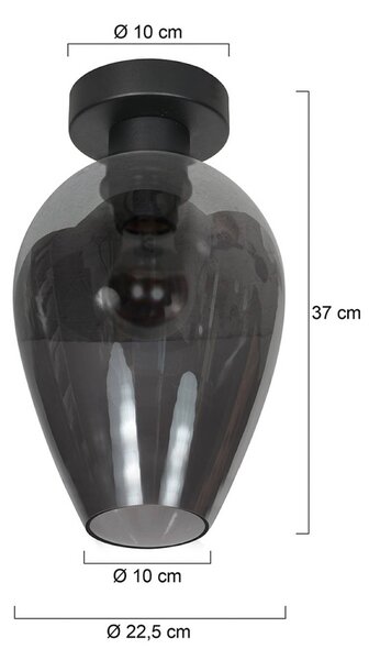 Stropné svietidlo Bloeba, čierna/dymovo sivá, Ø 22 cm, sklenená kvapka, Hliník / sivá / zinok, Obývacia izba / jedáleň, Sklo, Stropné svetlo polkruhové s priestorom