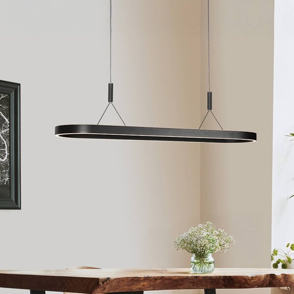 Steinhauer LED závesné svietidlo Mykty, čierna, dĺžka 120 cm, kov, 2-pl., Čierna, Obývacia izba / jedáleň, kov, Moderný, Závesné svietidlo