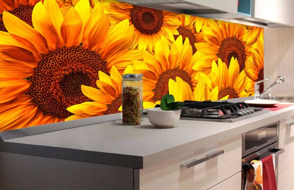 DIMEX | Fototapeta do kuchyne Slnečnice KI-180-051 | 180 x 60 cm | žltá, hnedá