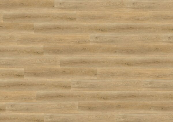 WINE 600 wood XL London loft DB193W6 - 4.24 m2
