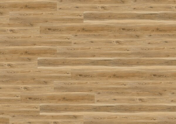 WINE 600 wood XL Sydney loft DB194W6 - 4.24 m2