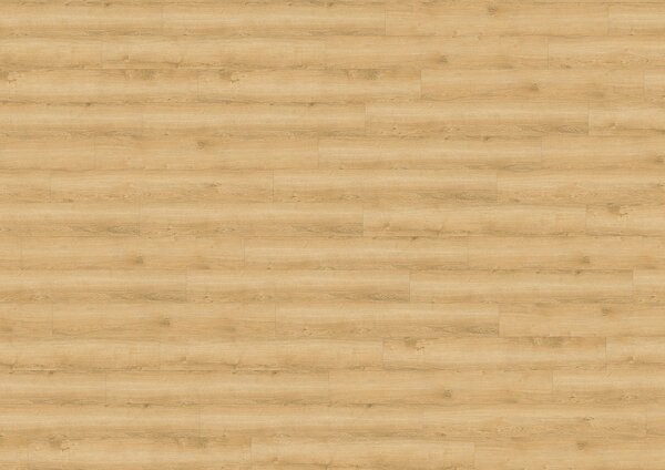 WINE 800 wood Dub Wheat golden DB00080 - 3.46 m2