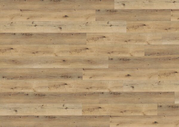 WINE 800 wood XL Dub corn rustic DLC00062 - 2.14 m2