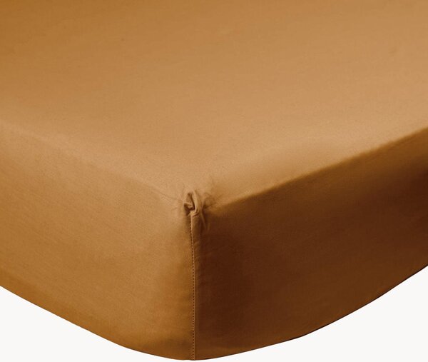 Elastická plachta na kontinentálnu posteľ z bavlneného perkálu Caramel