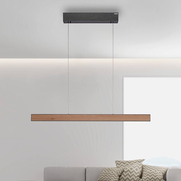 LED závesné svietidlo PURE E-Motion, dub/čierna perla,, Svetlé drevo, Obývacia izba / jedáleň, Hliník, Moderný, Závesné svietidlo