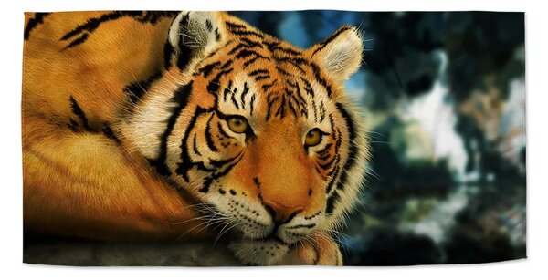 Sablio Uterák tiger - 30x50 cm