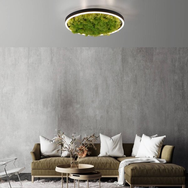 LED stropné svietidlo Green Ritus, mach stmievateľné Ø39,3cm, Zelená, Obývacia izba / jedáleň, Moderný, Závesné svietidlo
