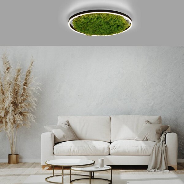 LED stropné svietidlo Green Ritus, mach stmievateľné Ø58,5cm, Zelená, Obývacia izba / jedáleň, Moderný, Závesné svietidlo