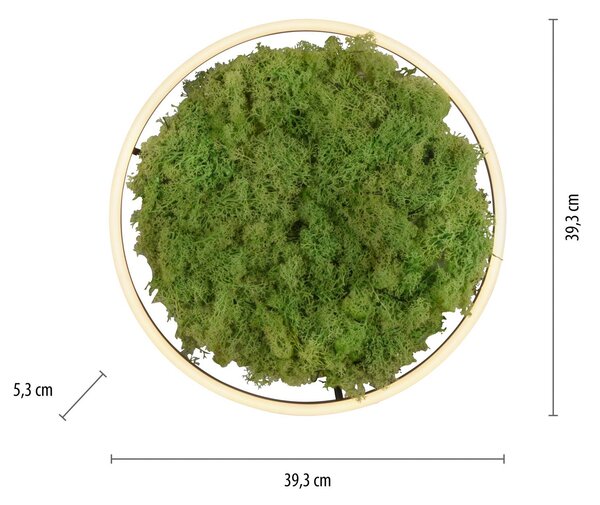 LED stropné svietidlo Green Ritus, mach stmievateľné Ø39,3cm, Zelená, Obývacia izba / jedáleň, Moderný, Závesné svietidlo