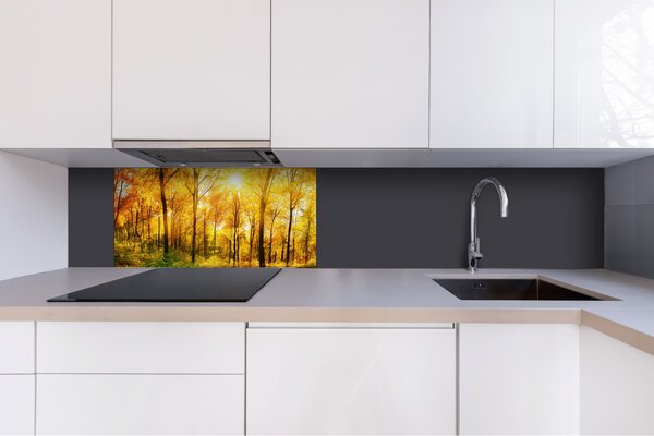 DIMEX | Plexisklo za kuchynskú linku PGT-08040-084 | 80 x 40 cm Slnečný les