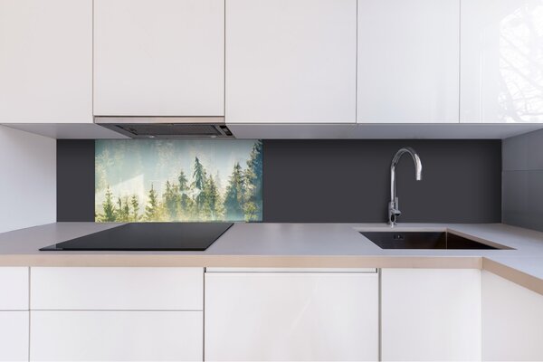 DIMEX | Plexisklo za kuchynskú linku PGT-08040-141 | 80 x 40 cm Hmla nad lesom