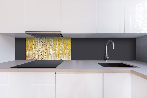 DIMEX | Plexisklo za kuchynskú linku PGT-08040-197 | 80 x 40 cm Žltý brezový háj