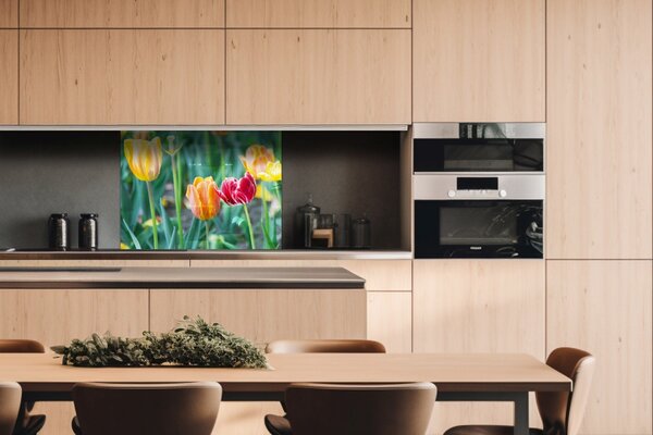 DIMEX | Plexisklo za kuchynskú linku PGT-08060-122 | 80 x 60 cm Jarné kvety