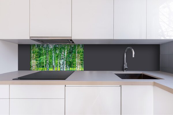 DIMEX | Plexisklo za kuchynskú linku PGT-08040-044 | 80 x 40 cm Brezový háj