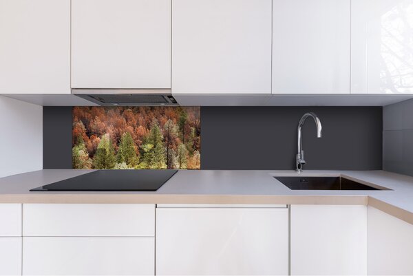 DIMEX | Plexisklo za kuchynskú linku PGT-08040-198 | 80 x 40 cm Farebný borovicový háj