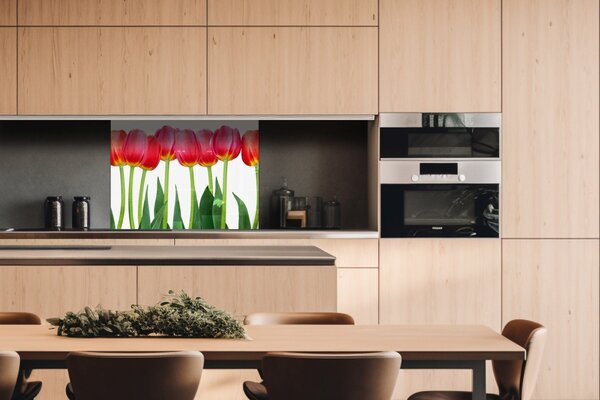 DIMEX | Plexisklo za kuchynskú linku PGT-08060-058 | 80 x 60 cm Tulipány