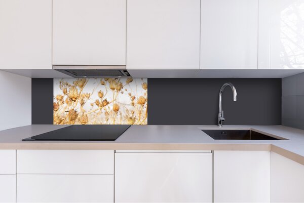 DIMEX | Plexisklo za kuchynskú linku PGT-08040-180 | 80 x 40 cm Suché bodľačie