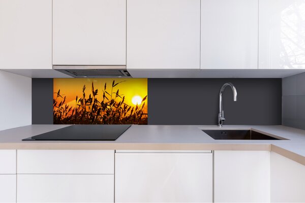 DIMEX | Plexisklo za kuchynskú linku PGT-08040-128 | 80 x 40 cm Západ slnka