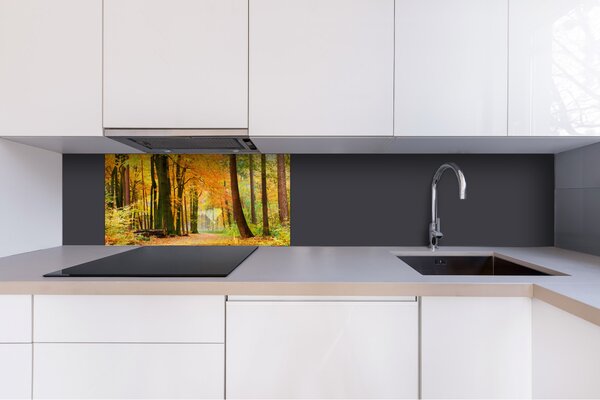 DIMEX | Plexisklo za kuchynskú linku PGT-08040-045 | 80 x 40 cm Jesenný les