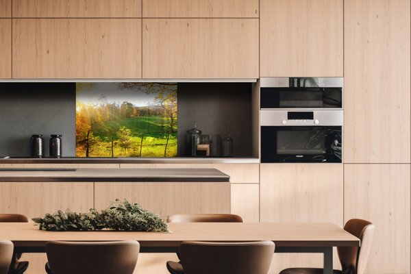 DIMEX | Plexisklo za kuchynskú linku PGT-08060-083 | 80 x 60 cm Lúka