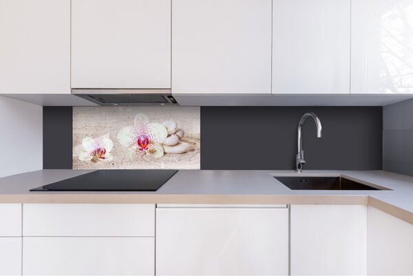 DIMEX | Plexisklo za kuchynskú linku PGT-08040-057 | 80 x 40 cm Záhrada Zen