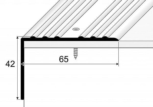 Schodový profil 65 x 42 mm (skrutkovací) Stříbro E01