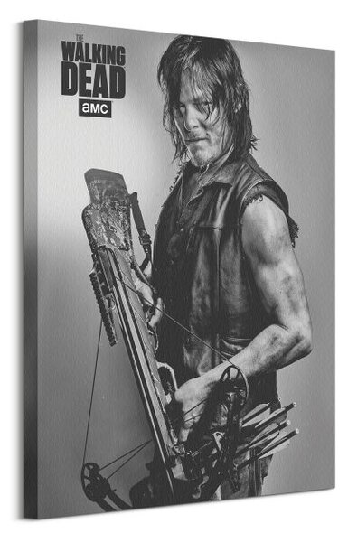 Art Group Obraz na plátne The Walking Dead Daryl Veľkosť: 60 x 80 cm