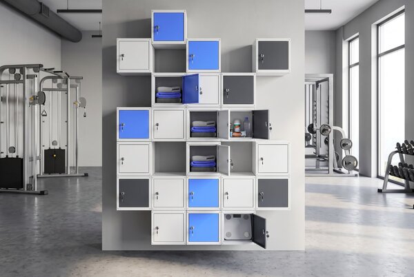 Šatníková skrinka s uzamykateľným boxom 250 x 250 x 250 mm, cylindrický zámok, grafitové dvere