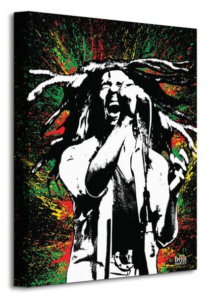 Art Group Obraz na plátne Bob Marley (Paint) Veľkosť: 30 x 40 cm