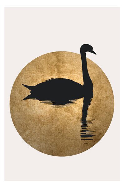 Plagát, Obraz - Kubistika - The swan, (40 x 60 cm)
