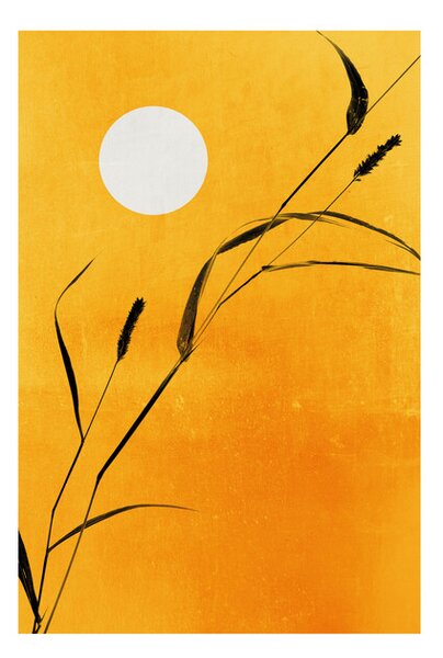 Plagát, Obraz - Kubistika - Sunny days, (40 x 60 cm)