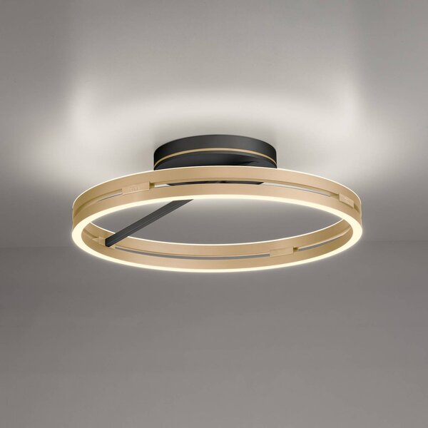 PURE stropné LED svetlo Loop mosadz/čierna kov Ø 60 cm, Mosadz / zlato, Obývacia izba / jedáleň, Hliník, Moderný, Stropné svetlo polkruhové s priestorom