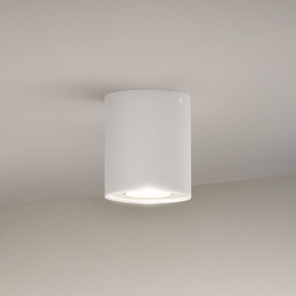 Stropné svietidlo Philips Hue White Ambiance LED, biele, Biela / opálová, Obývacia izba / jedáleň, kov, Moderný, Závesné svietidlo