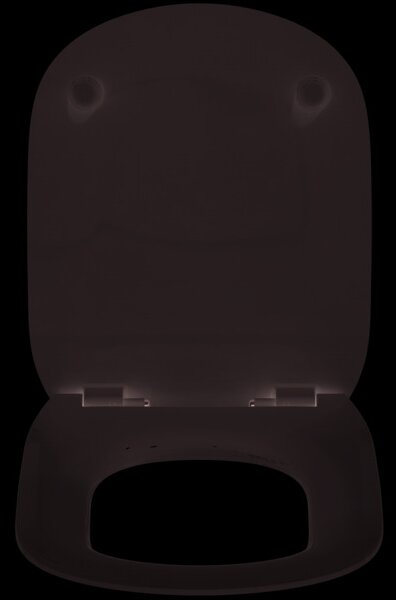 Ideal Standard Tesi - WC sedátko Soft-Close, biela T352701