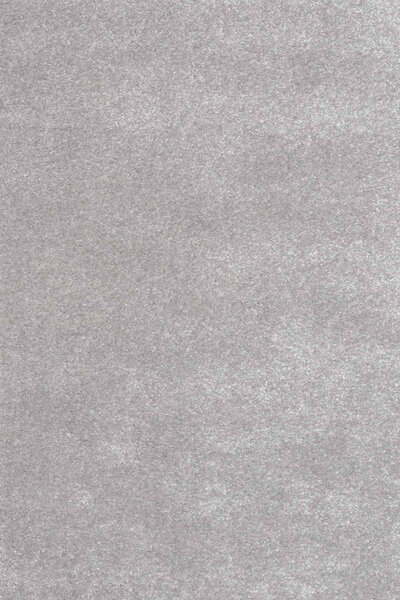 Sintelon , AKCIA: 160x230 cm Kusový koberec Toscana 01 / SSS, šedá, obývacia izba