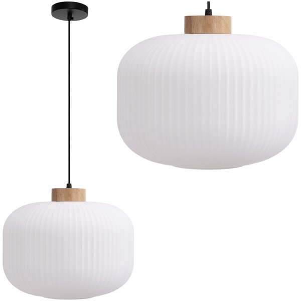 Toolight Toolight, stropné svietidlo zo skla 1xE27, biela, OSW-04412
