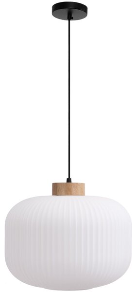 Toolight Toolight, stropné svietidlo zo skla 1xE27, biela, OSW-04412
