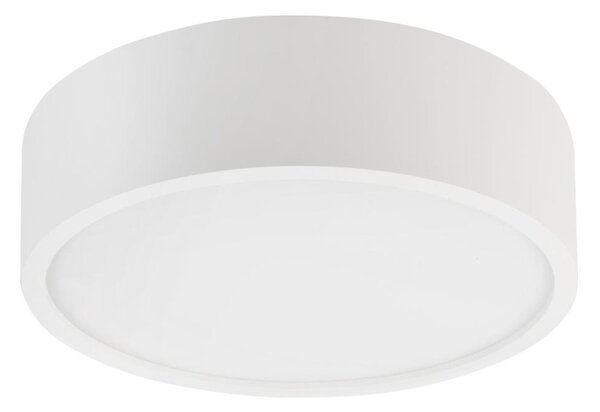 Stropné svietidlo NATURAL 1xE27/15W/230V priemer 27,5 cm borovica/biela