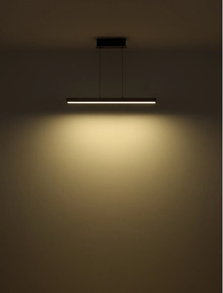 Globo 17016 - LED stmievateľný dotykový luster na lanku ETHAN LED/39W/230V 2700/4000/6000K sivá