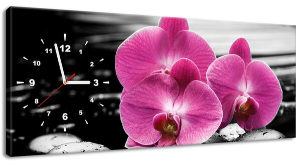 Obraz s hodinami Krásna orchidea medzi kameňmi Rozmery: 100 x 40 cm
