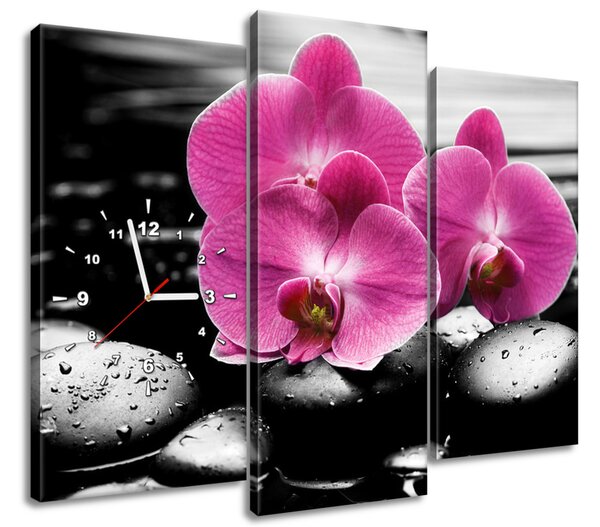 Obraz s hodinami Krásna orchidea medzi kameňmi - 3 dielny Rozmery: 90 x 70 cm