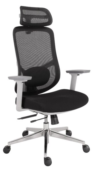 Kancelárska ergonomická stolička Neoseat ALLY WHITE — čierna / biela, nosnosť 150 kg