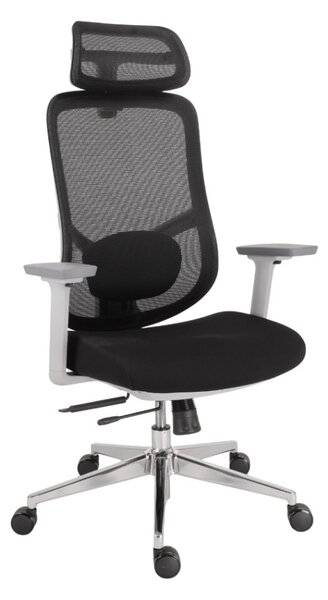 Kancelárska ergonomická stolička Neoseat ALLY WHITE — čierna / biela, nosnosť 150 kg