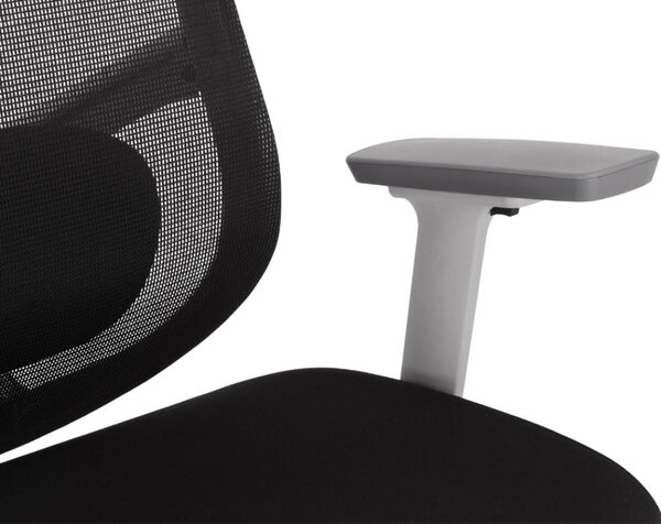 Kancelárska ergonomická stolička Neoseat ALLY WHITE — čierna / biela, nosnosť 150 kg