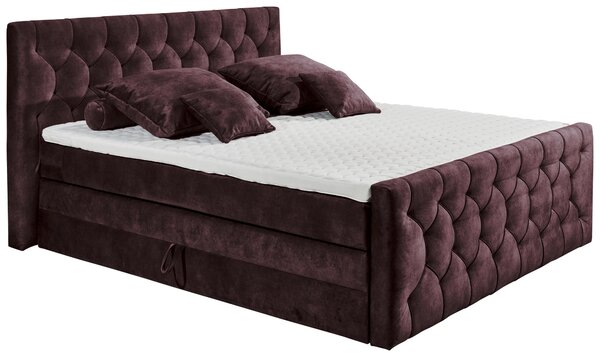 BOXSPRINGOVÁ POSTEĽ, 180/200 cm, baklažánová MID.YOU - Online Only spálne, Online Only