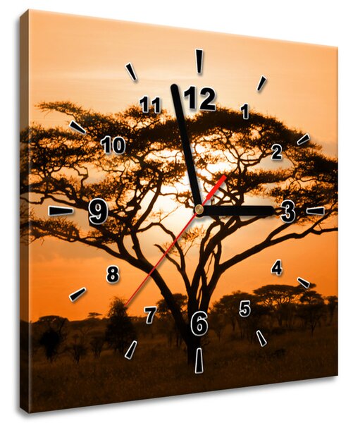 Obraz s hodinami Nádherná africká krajina Rozmery: 30 x 30 cm